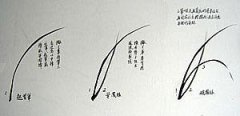 兰的画法